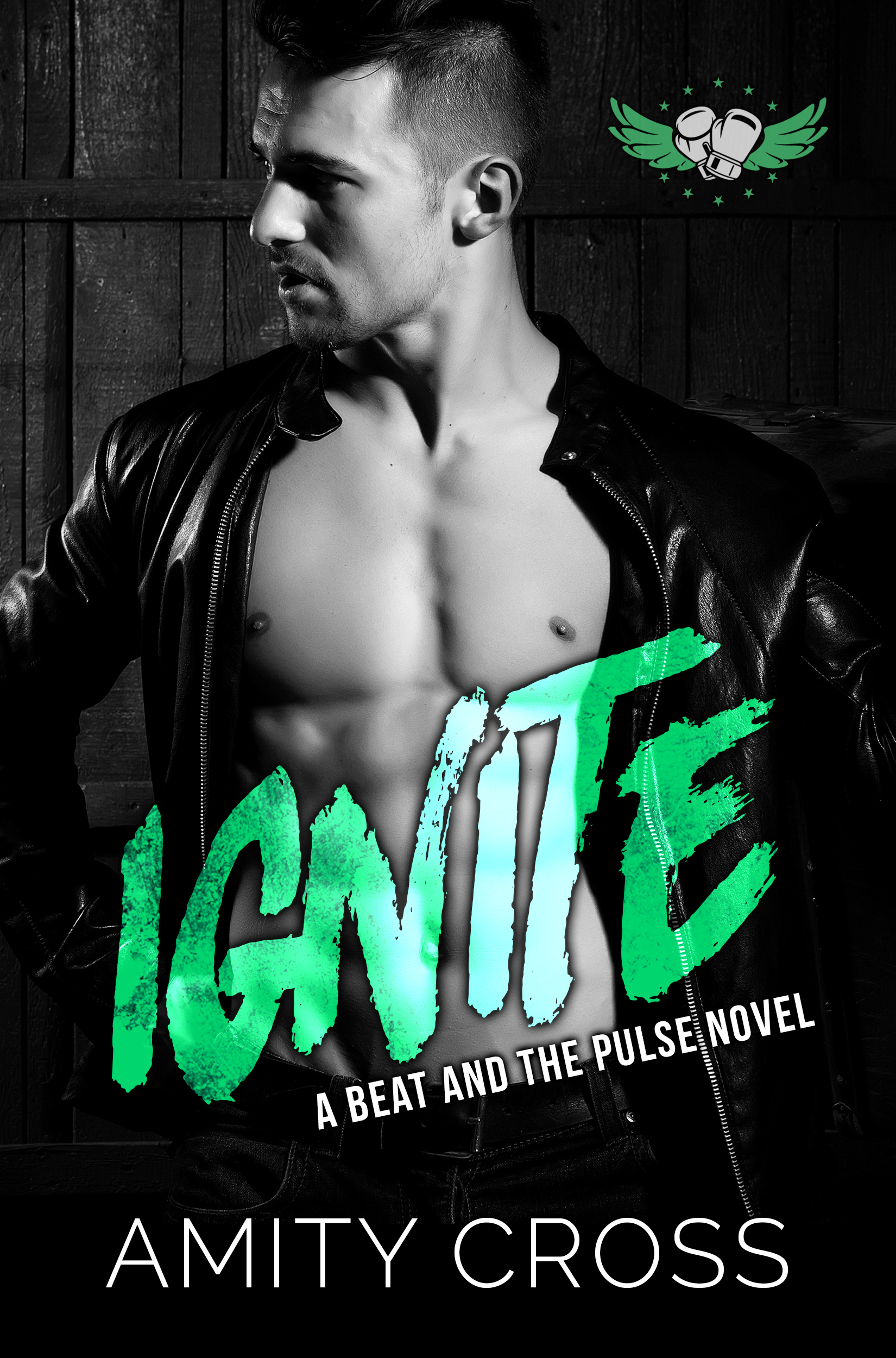 Ignite (The Beat and The Pulse - Book Eleven) - Amity Cross
