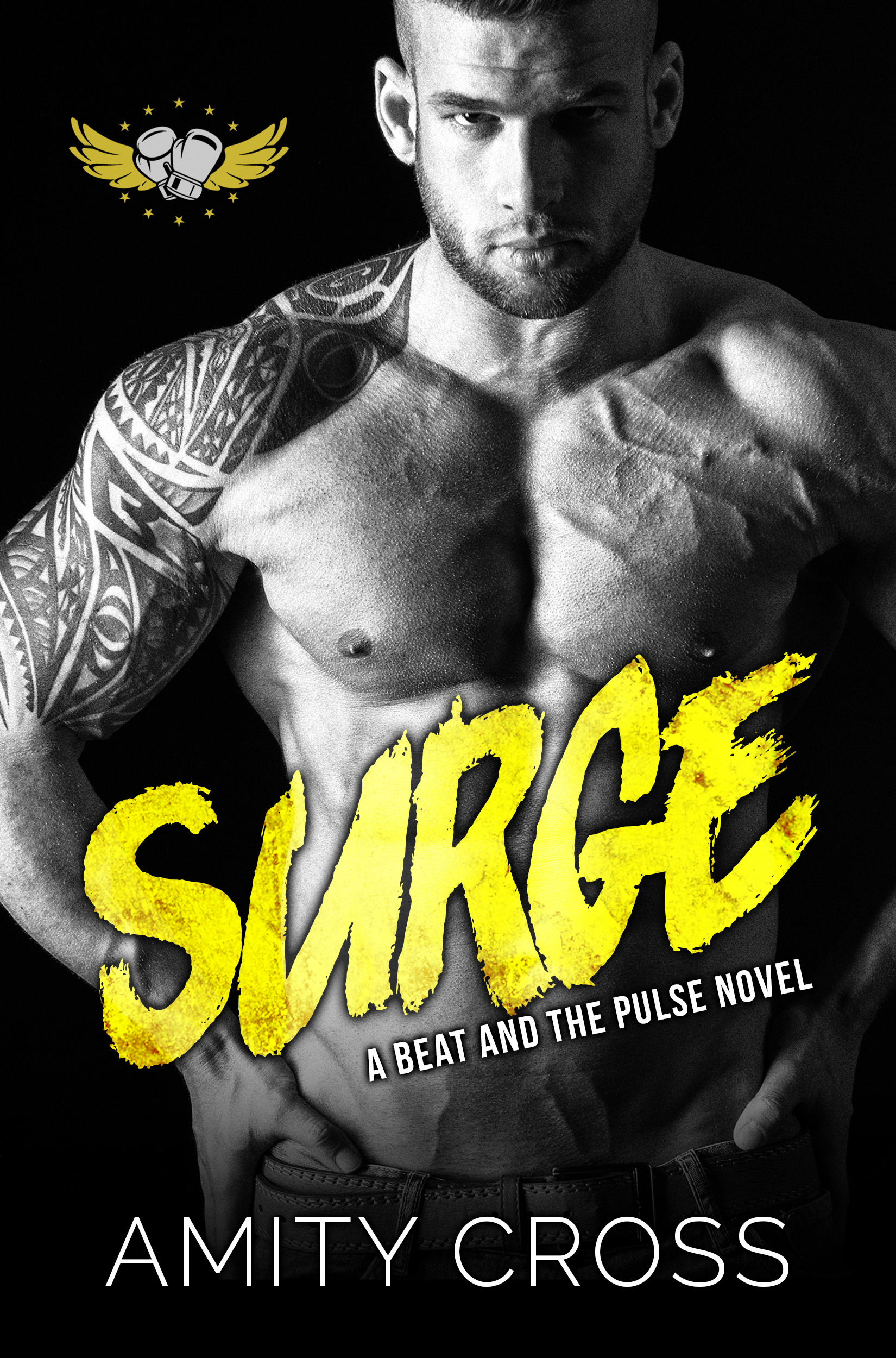 Surge (The Beat and The Pulse - Book Seven) - Amity Cross