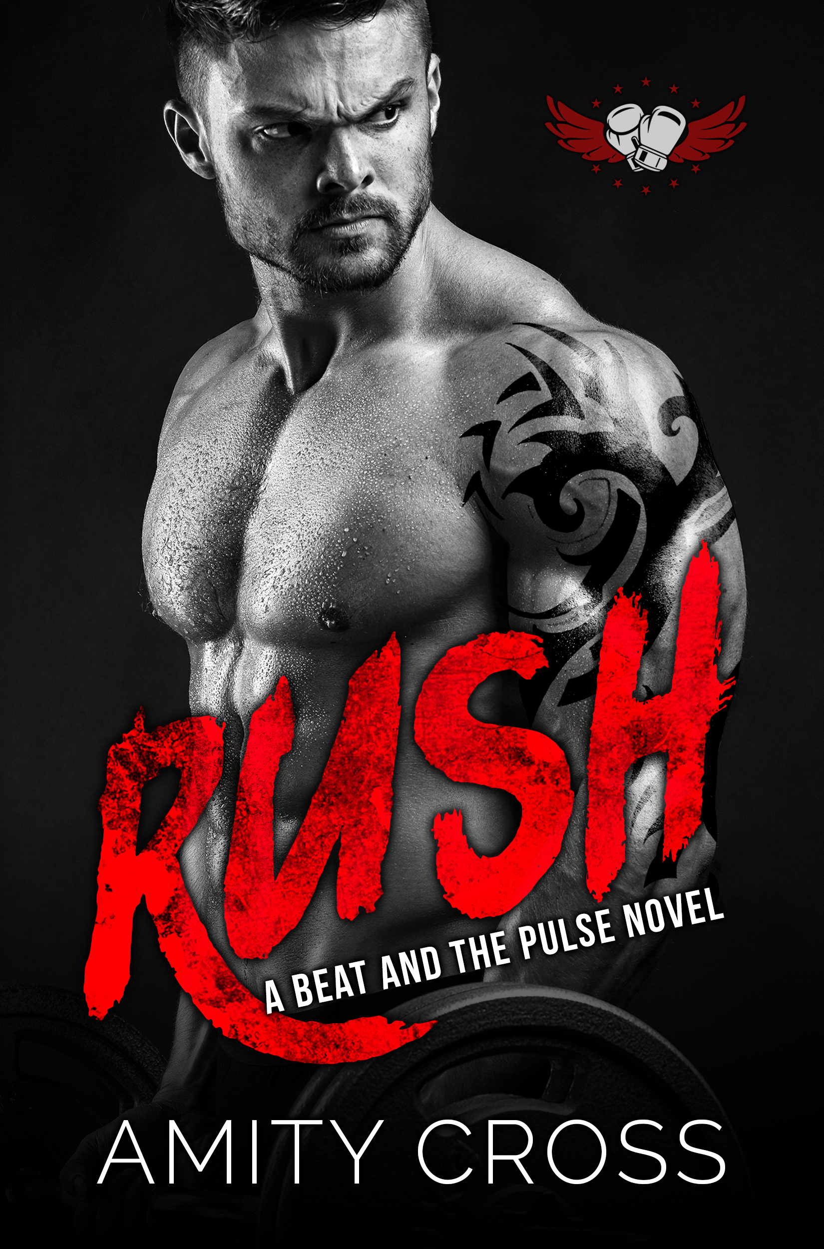 Rush (The Beat and The Pulse - Book Nine) - Amity Cross
